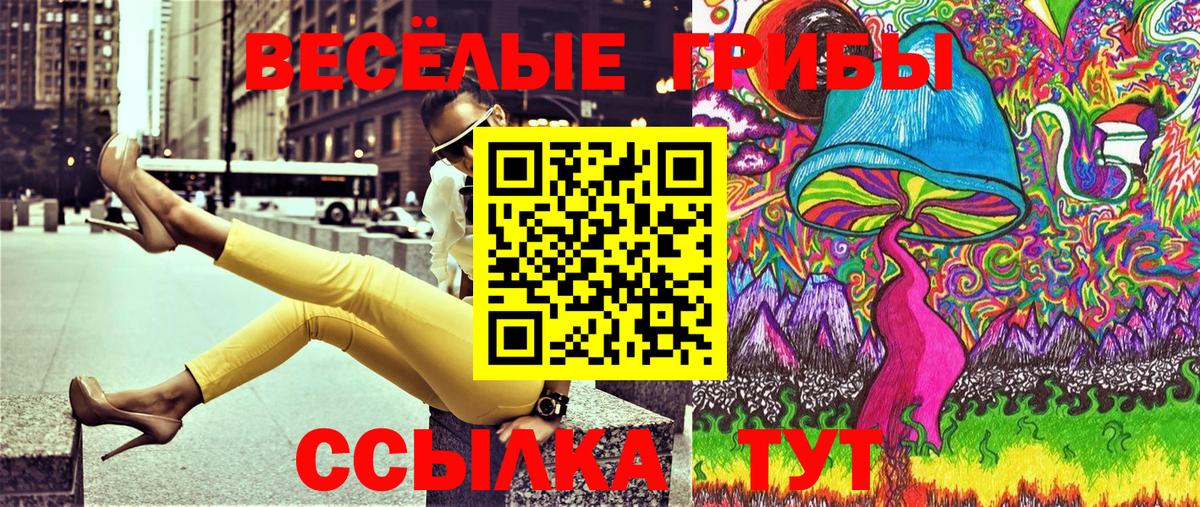 Галлюциногенные грибы GOLDEN TEACHER  Вход с VPN  Галлюциногенные грибы мицелий  Элиста 